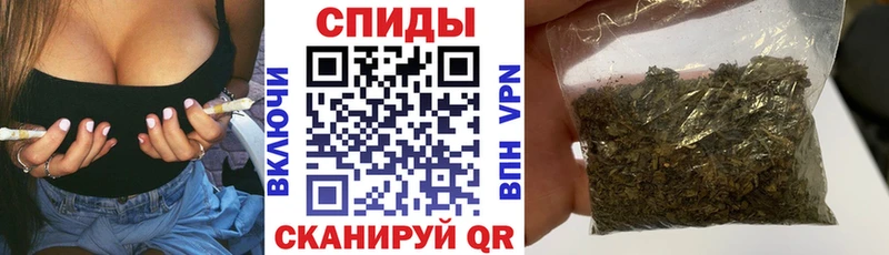 Купить где  Новосокольники  Бутират Butirat 