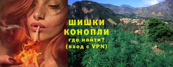 молекула духа Магадан