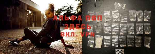 молекула духа Магадан