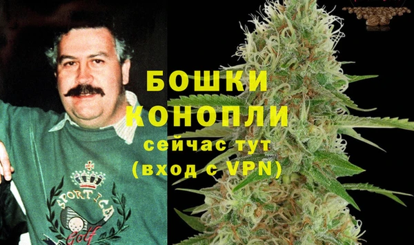 молекула духа Магадан