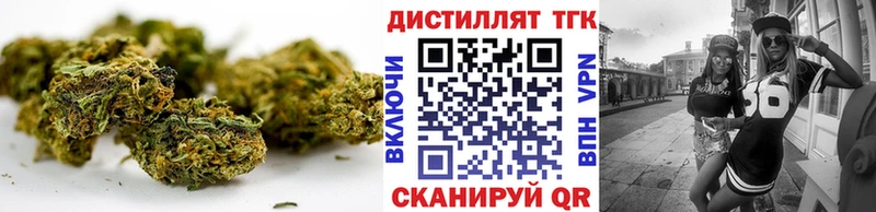 Купить закладки  Новосокольники  ТГК концентрат 