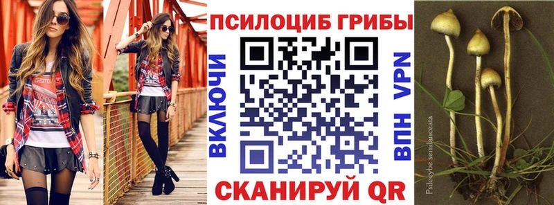 Купить  Новосокольники  Псилоцибиновые грибы ЛСД 